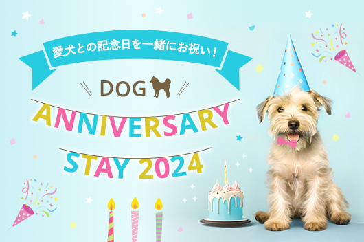 Dog Anniversary Stay 2024