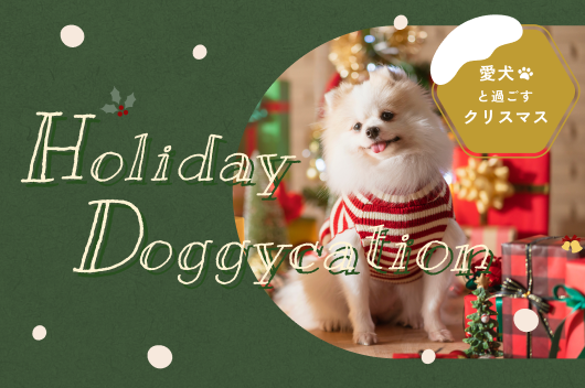 “愛犬と過ごすクリスマス” Holiday Doggycation