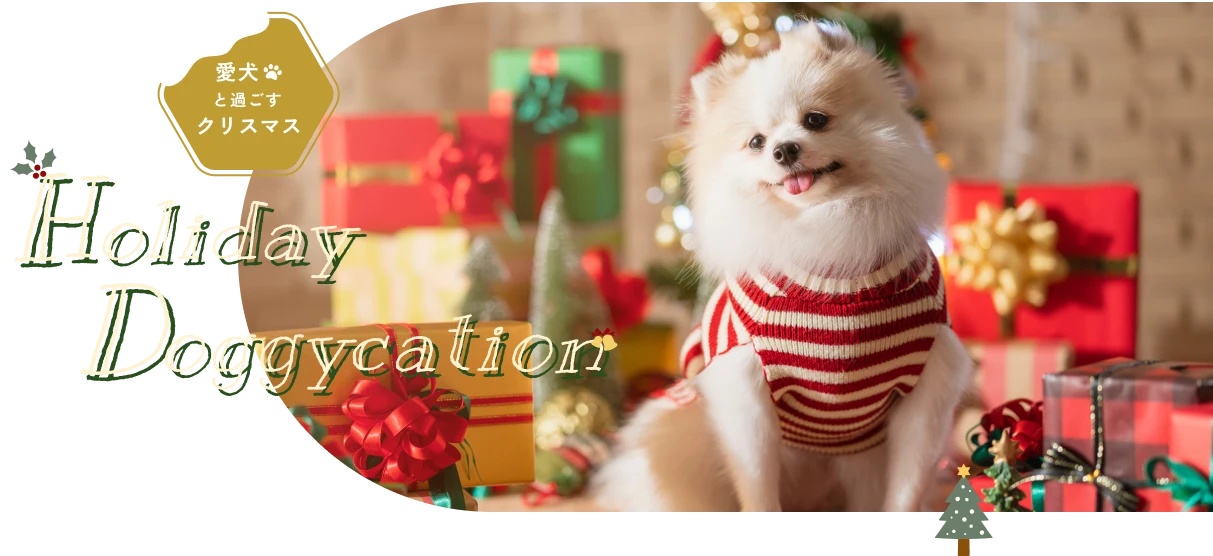 愛犬と過ごすクリスマス　Holiday Doggycation