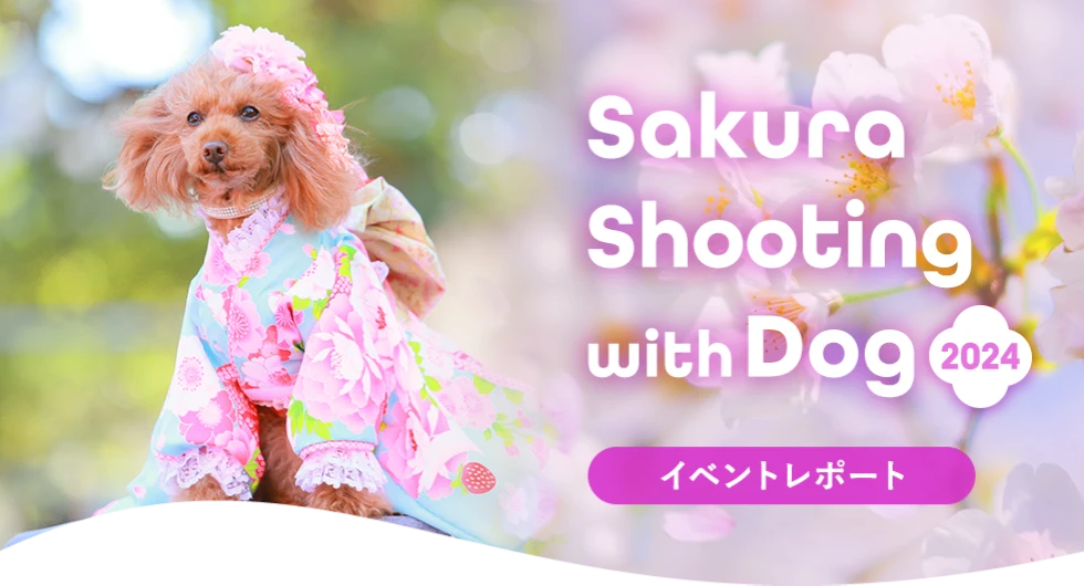 Sakura Shooting with Dog 2024イベントレポート